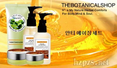 ��̩��-�����{������������