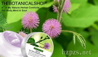 ��̩��-���߲ݕ���ޏ�(f��)���