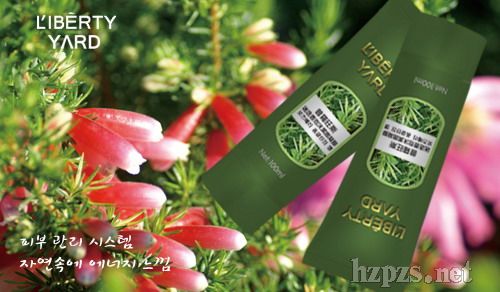 麗蓓雅-普羅旺斯迷迭香泡沫潔面凝膠