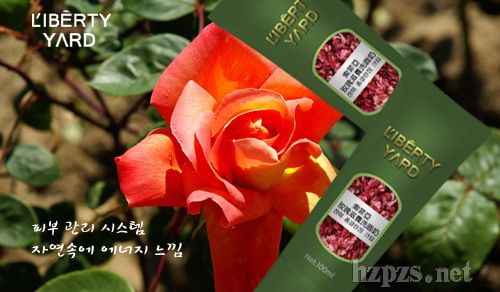 麗蓓雅-索菲亞玫瑰滋養(yǎng)洗面奶