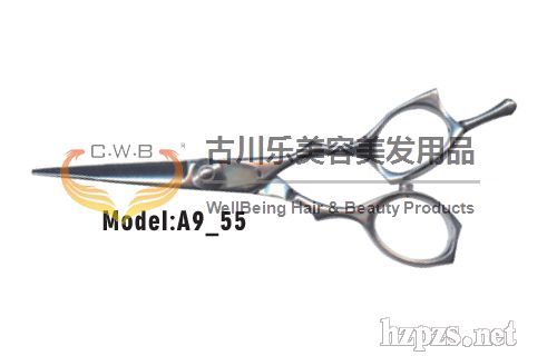 A955���l(f��)����