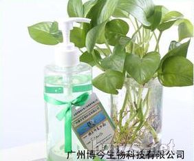 ��ë���LҺ