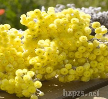 �ЙC�����Ϟ�ռ�¶