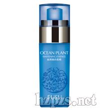 ���͸��۵�