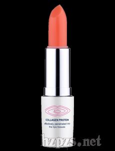 �����p���S������