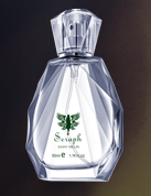 ������ʹ