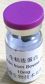 ţճ�B����