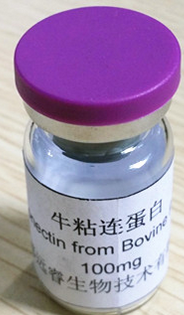 ţ�w�S����ԭ