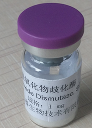 ���������绯ø