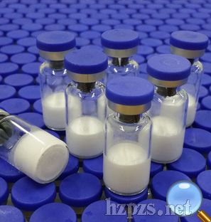 rhKGF-2�������ؽM�˽��|(zh��)��(x��)�����L���ӣ�