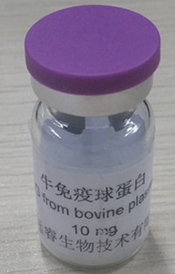 ţ�����򵰰�