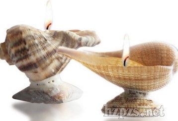 ����޹ؐ��Ϟ�T