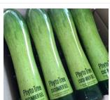 PhytoTree�S���z