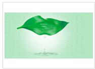 �o�¼�(x��)���������NĤ