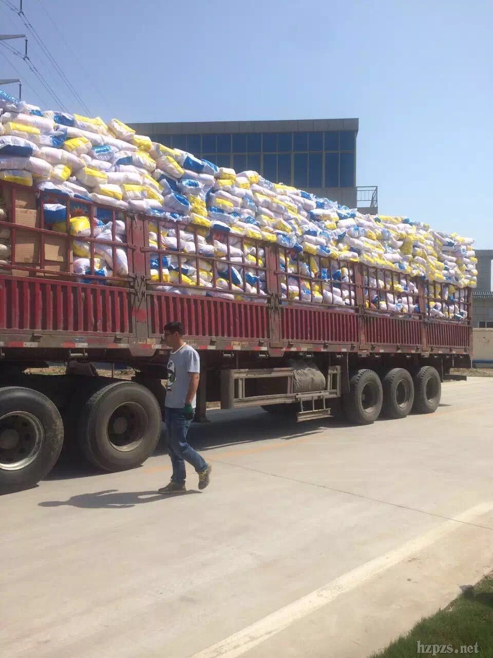 ***�̘�(bi��o)������