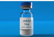 �ؽM�˽��|(zh��)��(x��)�����L����(KGF-2)