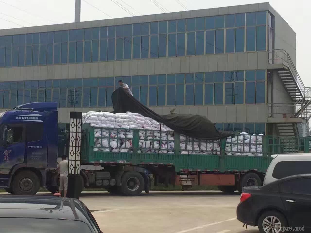 ����ף�R���ܘs�@-***�̘�