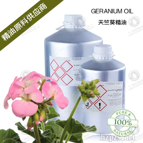 ���ÿ�����