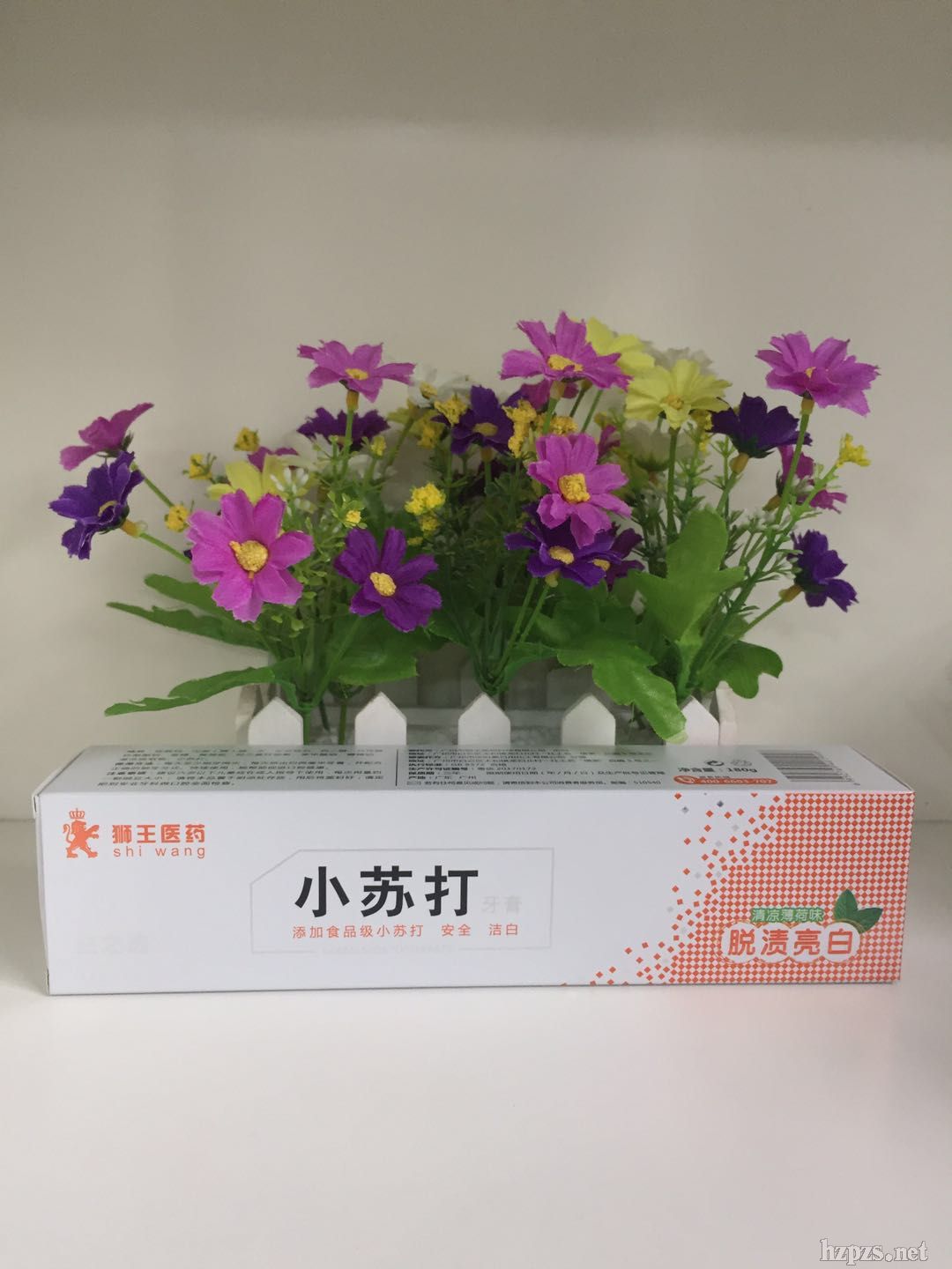 廣州市獅王醫(yī)小蘇打脫漬亮白