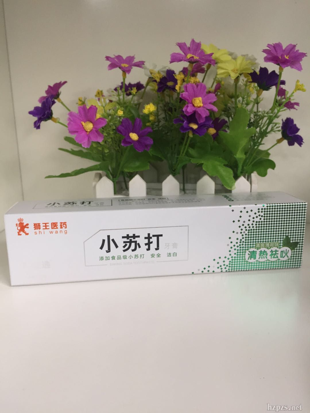 廣州市獅王醫(yī)小蘇打清熱祛吙