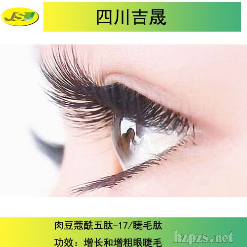 �ⶹޢ������-17/��ë��