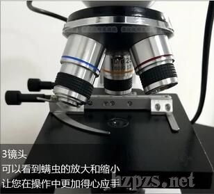 ȥ���o(h��)�wƷ�׺�