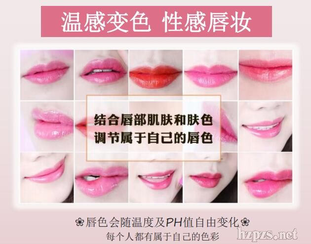 �ݱ���(r��n)�B(y��ng)�ظпڼt