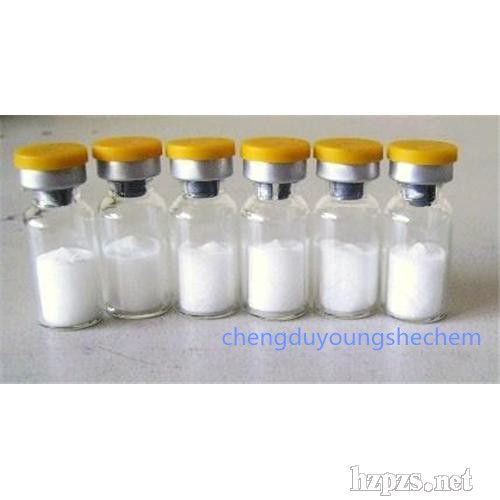 ���w������Bodyfensine