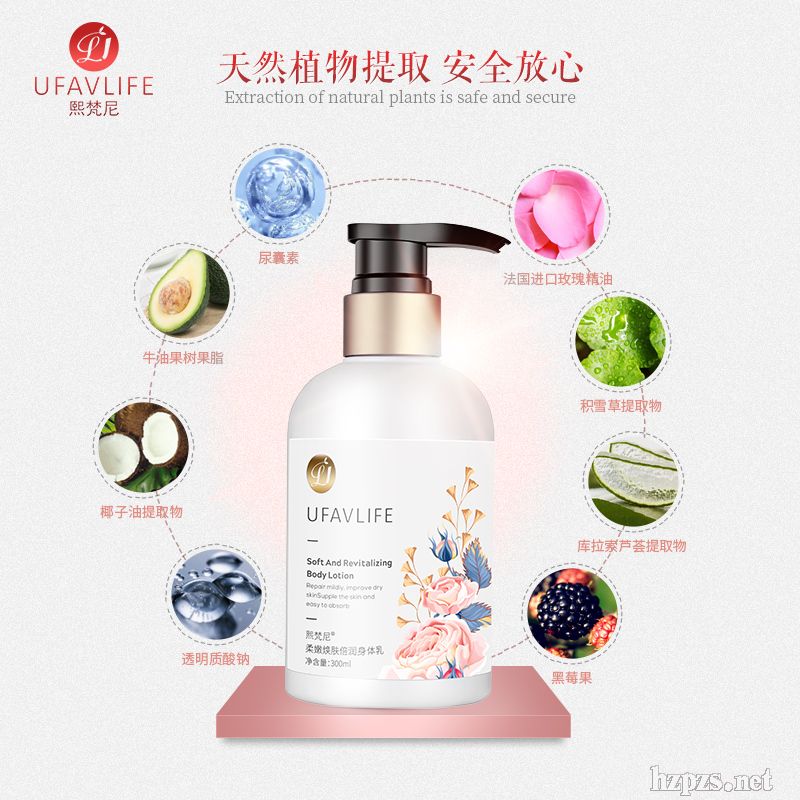 ���۱������w��