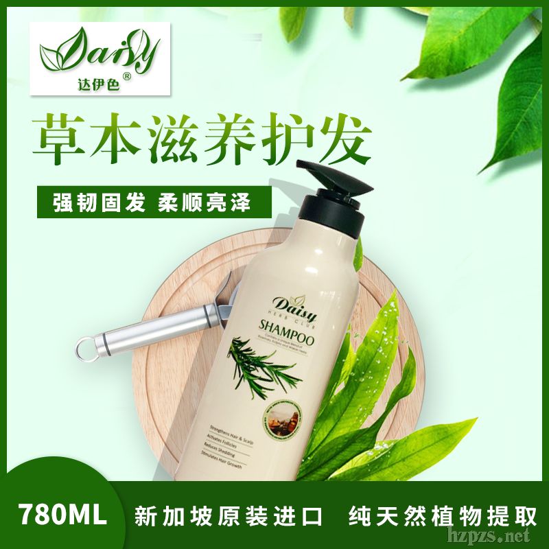 Daisy�_��ɫ�ݱ����B(y��ng)ϴ�l(f��)ˮ