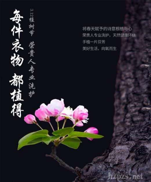 �s�F��ϴ��Һ