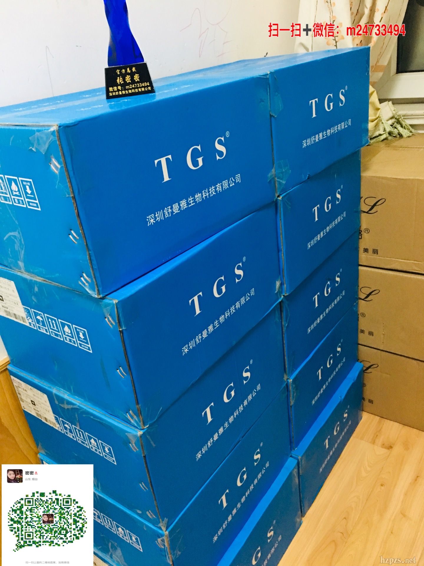 ���������Ż��w