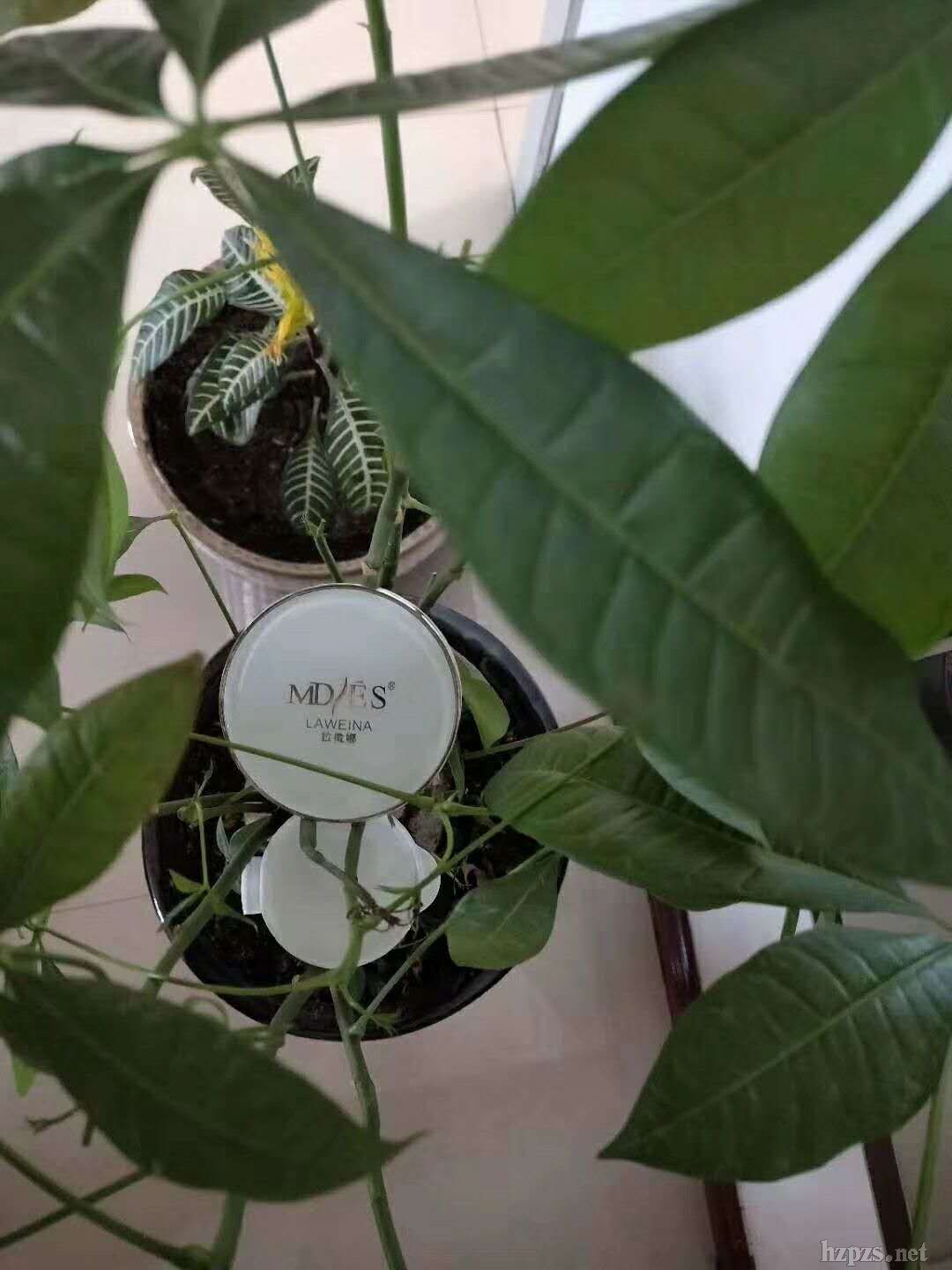 ��|���xCC˪