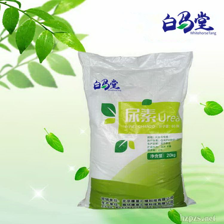 ���ՅR�S��༉����