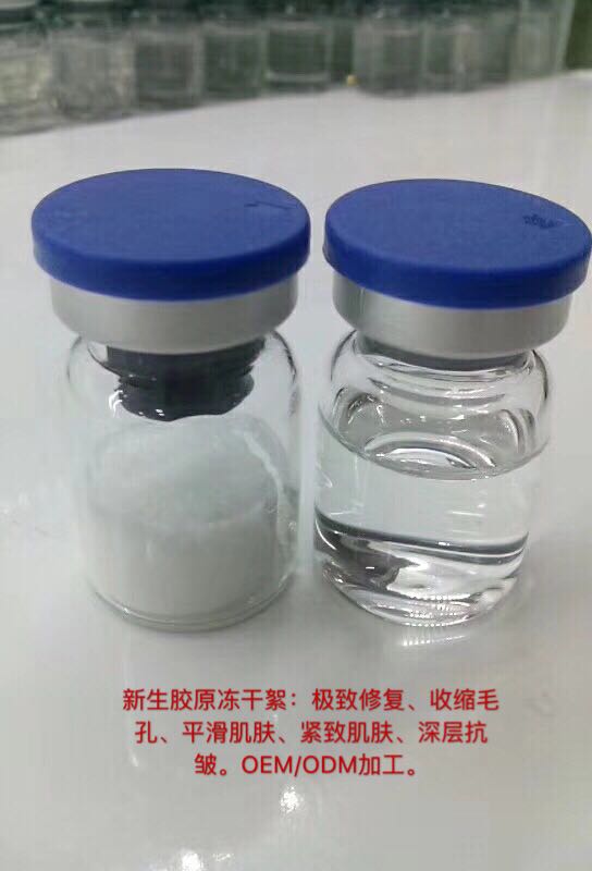 �����zԭ������