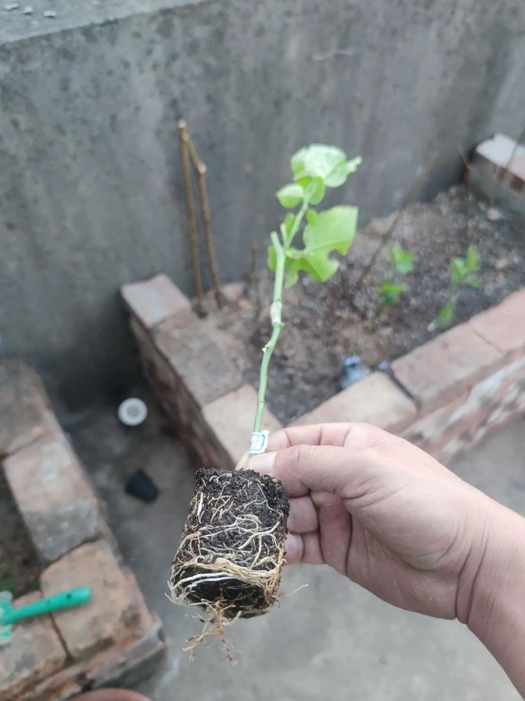 �S��������