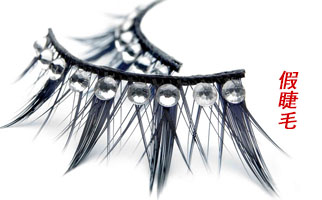 ���ٽ�ë�����l(f��)����