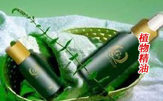 ��ֲ�ﾫ�͡����l(f��)����