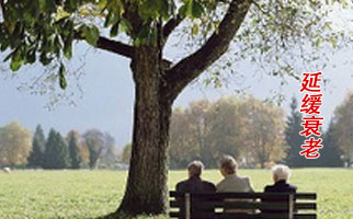 ���Ӿ�˥�ϡ����l(f��)����